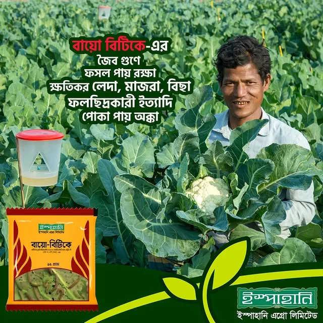 Bio-Bitik%20Bacillus%20Thuringiensis%20(BT)%20Insecticide%20-%20Natural%20Caterpillar%20Control%20-%20Image%203