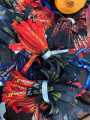 customize ID fita/ ID Lanyard/ID card lanyard/Id Card Carrying Ribbon.