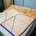 1ps Baby Single Mosquito Folding Net (26x22x20 inches) - Colour as per Stock.