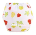Washable Reusable Baby Clothes Diapers - (3kg to 15kg) (1 Pieces With Diapers, 1 Diaper Nappies).