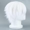 【Serendipity party】Male White Wig for Cosplaying  Characters Straight Short Synthetic Wigs. 
