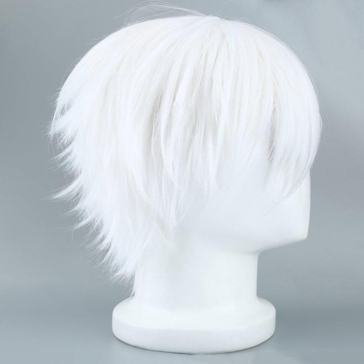 %E3%80%90Serendipity%20party%E3%80%91Male%20White%20Wig%20for%20Cosplaying%20%20Characters%20Straight%20Short%20Synthetic%20Wigs%20-%20Image%203