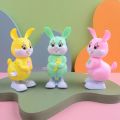 Rabbit Toy for Baby (Clockwork Jumping Toys for Children's Brain, Life Skills & Education). 
