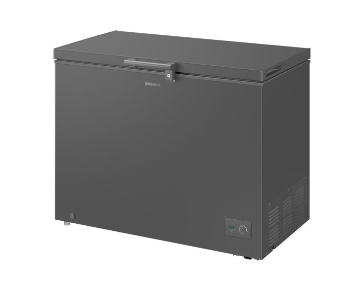 SAMSUNG 287 Liter One Door Freezer with Premium Design | RI70F29V2GAUT