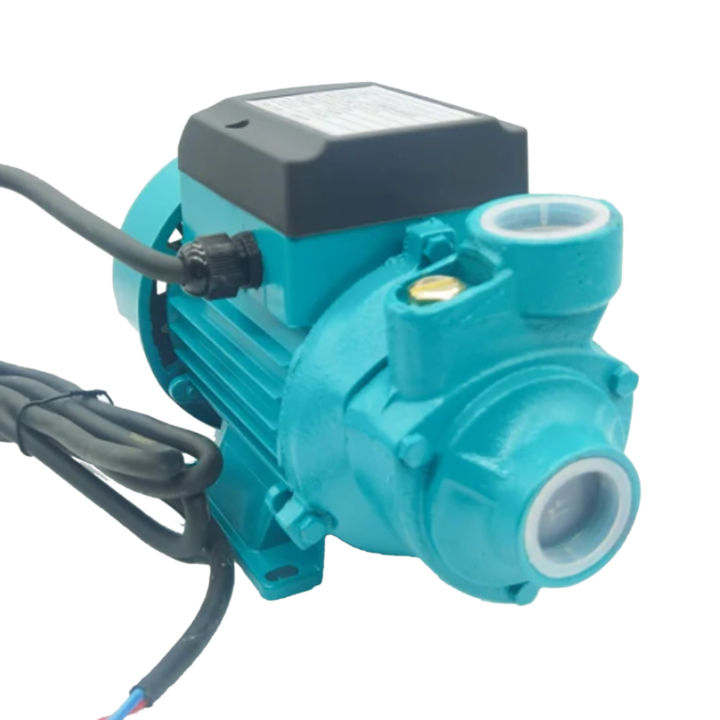 Solar%20Water%20Pump%20DC%2012v%20180w%20Surface%20Water%20Jet%20Pump%20for%20home%20Agriculture%20Irrigation%20use%201%20inch%20input%20&%20output%20-%20Image%207