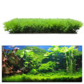 Artificial Fake Water Aquatic Green Grass Lawn Aquarium Landscape.