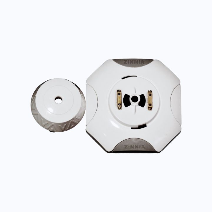 Ceiling%20Rose%20-%20Image%202