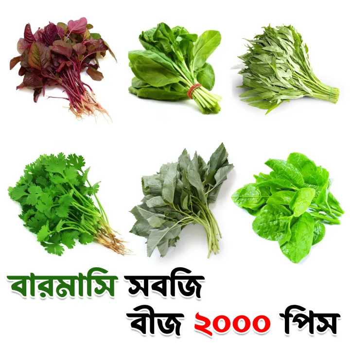 %E0%A6%AC%E0%A6%BE%E0%A6%B0%E0%A6%AE%E0%A6%BE%E0%A6%B8%E0%A6%BF%20%E0%A6%B8%E0%A6%AC%E0%A6%9C%E0%A6%BF%E0%A6%B0%20%E0%A6%95%E0%A6%AE%E0%A7%8D%E0%A6%AC%E0%A7%8B%20%E0%A6%AA%E0%A7%8D%E0%A6%AF%E0%A6%BE%E0%A6%95%20%E0%A6%AC%E0%A7%80%E0%A6%9C%20%E0%A7%A8%E0%A7%A6%E0%A7%A6%E0%A7%A6%20%E0%A6%AA%E0%A6%BF%E0%A6%B8%20(%E0%A6%B2%E0%A6%BE%E0%A6%B2%E0%A6%B6%E0%A6%BE%E0%A6%95,%E0%A6%AA%E0%A6%BE%E0%A6%B2%E0%A6%82%E0%A6%B6%E0%A6%BE%E0%A6%95,%E0%A6%AA%E0%A7%81%E0%A6%81%E0%A6%87%E0%A6%B6%E0%A6%BE%E0%A6%95,%E0%A6%A7%E0%A6%A8%E0%A6%BF%E0%A7%9F%E0%A6%BE%E0%A6%AA%E0%A6%BE%E0%A6%A4%E0%A6%BE,%E0%A6%95%E0%A6%B2%E0%A6%AE%E0%A6%BF%E0%A6%B6%E0%A6%BE%E0%A6%95,%E0%A6%A1%E0%A6%BE%E0%A6%81%E0%A6%9F%E0%A6%BE%E0%A6%B6%E0%A6%BE%E0%A6%95)%20-%20Image%206