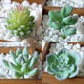 1PC Artificial Green Succulents Creative  DIY Flower Head Home Garden Desktop Decoration Plants. 