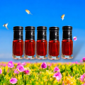 Premium 5-Pack 3ml Vampire Blood Attar - Elegant Scented Fragrance Oil, Travel Size. 