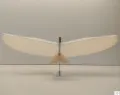 Flying Pegasus! 3D printed Flying Pegasus Model For Table or Decoration and Toys. 