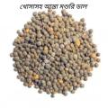 Moshur Dal (With Skin)-1kg. 