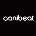 Car canibeat hellaflush front glass sticker B-47. 