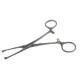 Allis Tissue Forceps 6 Inches SS/OTHER COMPANY. 