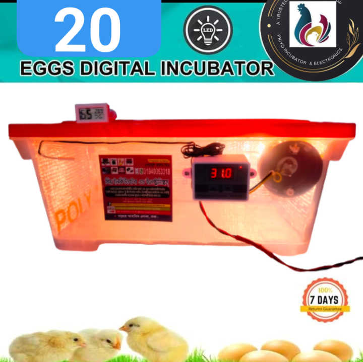 20 ডিম ইনকিউবেটর মেশিন সেমি অটো ac 220v W-3001 কন্ট্রোলার স্বয়ংক্রিয় তাপমাত্রা নিয়ন্ত্রণ ডিজিটাল ডিসপ্লে সেরা ইনকিউবেটর মেশিন