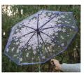 Transparent Flower Design Folding Women Fashion Umbrella.