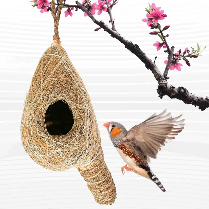 Hand%20Made%20Bird%20Nest%20(BN_10)%20-%20Image%203