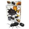Infrared Remote Control Fake Cockroach Electronic Pet Insect Toy RC Prank Joke Scary Trick. 