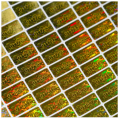 100PCS ONE INCH HOLOGRAM SERIAL NUMBER STICKER.