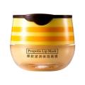 Propolis Nourish Moisturizing Lip Mask Sleep Lip Balm Nourishing Anti-wrinkle Lip Care Anti-cracking Uni Lip Care. 