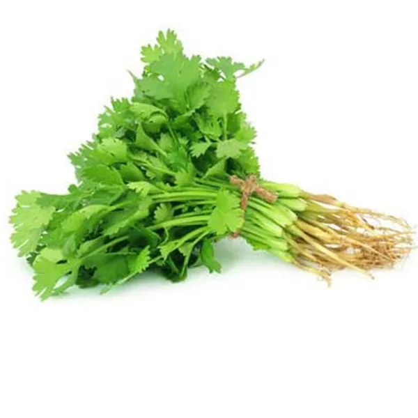 Dhonia%20(%E0%A6%A7%E0%A6%A8%E0%A6%BF%E0%A7%9F%E0%A6%BE%20%E0%A6%AA%E0%A6%BE%E0%A6%A4%E0%A6%BE%20)%20%20-%2010/20%20gm%20%20Seed%20Pack%20Hybrid%20All%20Season%20-%20%E0%A6%B8%E0%A6%BE%E0%A6%B0%E0%A6%BE%20%E0%A6%AC%E0%A6%9B%E0%A6%B0%20%E0%A6%9A%E0%A6%BE%E0%A6%B7%E0%A6%AF%E0%A7%8B%E0%A6%97%E0%A7%8D%E0%A6%AF%20%E0%A6%A7%E0%A6%A8%E0%A7%87%E0%A6%AA%E0%A6%BE%E0%A6%A4%E0%A6%BE%E0%A6%B0%20%E0%A6%AC%E0%A7%80%E0%A6%9C%20-%20Image%205