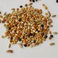 Bird Food Millet Canary Mix - 500g. 