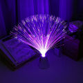 【3C VictoryEagle】LED Fiber Optic Night Lamp Christmas Wedding Holiday Decor. 
