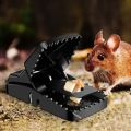 FnF Shop BD edur marar fad/Mouse Trap Mouse Traps Indoor Mouse Traps for House Mouse Traps Outdoor Mice Traps for House Indoo(Dhaka shopping zone). 