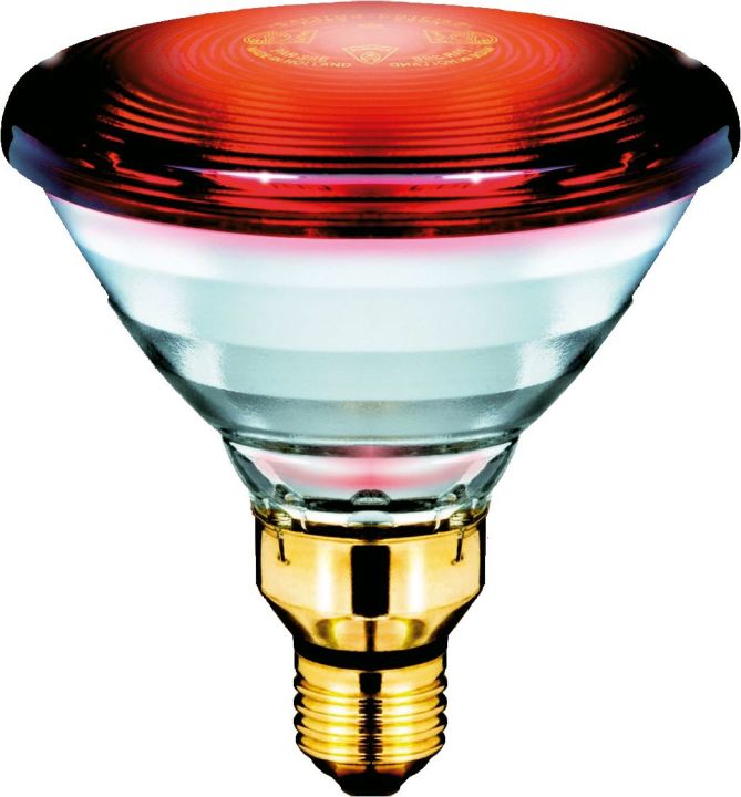 Philips%20Infrared%20Heating%20Lamp%20BULB-150W%20-%20Image%204