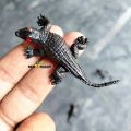5 pcs x Simulation Plastic Ant Bat Cockroach Centipede Crocodile Lizard Snake Spider Scorpion Toy Insect Prank Toys. 