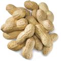 Raw Peanut |China Badam | Kacha Badam | Chinabadam - 500Gm - Badam. 