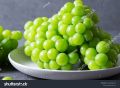 Easy to grow Sweet climbing Green Grape Seeds -20 Pcs Seeds.