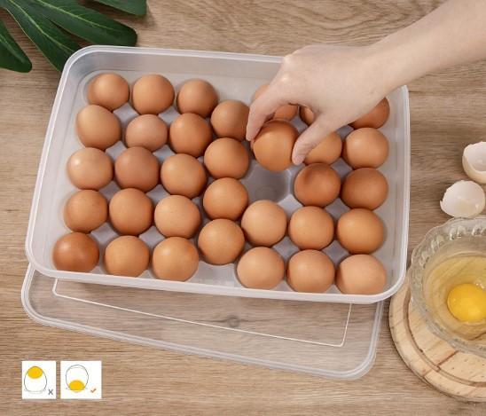 Jadroo%20High%20Quality%20Egg%20Storage%20Box%20-%20Image%204