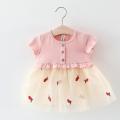 Girl Summer Dress Baby Girl Dress Sweet O-Neck Sleeveless Lace Comfortable Princess Vacation.