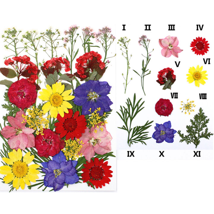 %E3%80%90Wweirdoo%E3%80%91Lots%20Real%20Dried%20Pressed%20Flowers%20Dried%20Flowers%20Leaves%20Mixed%20Multiple%20Dry%20Flower%20for%20DIY%20Candle%20Jewelry%20Nail%20Pendant%20Crafts%20Art%20-%20Image%204