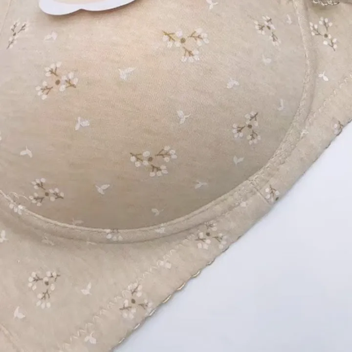 2%20PCS-Private%20deliveryPlus%20Size%2080%2085%2090%2095%20100%20B%20C%20Cup%20Women%20Wire%20Free%20Bras%20Woman%20Lingerie%20Push%20Up%20Underwear%20Wireless%20Lingerie%20Femmale%20-%20Image%208