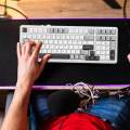 Mechanical Gaming Keyboard 99 Key for PC Laptop Gasket Structure RGB Backlit. 