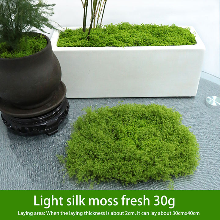1PC%20DIY%20Artificial%20Fresh%20Green%20Moss%20Lawn%20Micro%20Landscape%20Silk%20Moss%20Wedding%20Centerpieces%20Garden%20Terrariums%20Decoration%20Fake%20Moss%20Natuo%20-%20Image%209