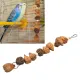 Bird Chew Toys, Parrot Nuts Chew Toy Decorative for Budgies for Macaws. 