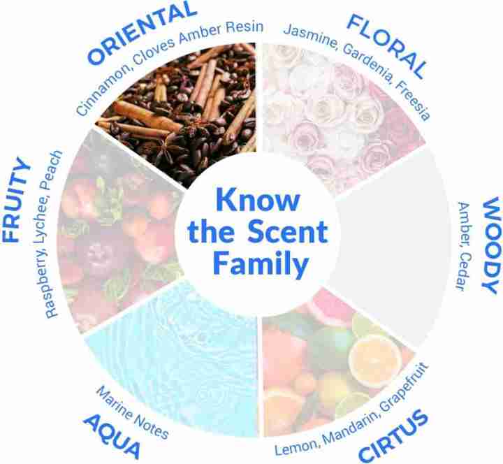 ROYAL%20MIRAGE%20Sport%20Eau%20de%20Cologne%20-%20120%20ml%20-%20Image%202