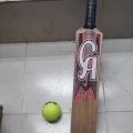 Cricket Bat 24-Inch With Tennis Ball Free For Children - Perfect Starter Set For Young Cricket Enthusiasts.