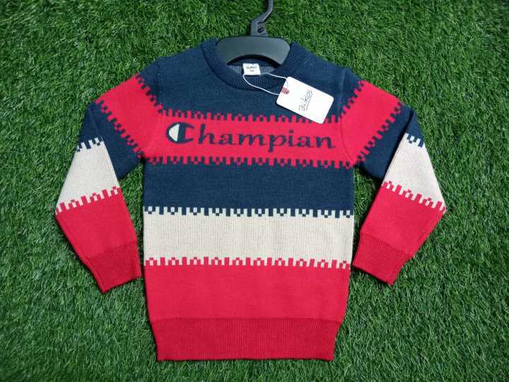 boys winter Champion sweater