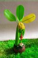 Bonsai Banana Tree Artificial Clay Plants Decoration Interior Showpiece Small Size - (9 inch) - Home Decoration Item. 
