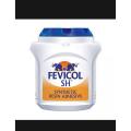 Fevicol Synthetic Resin Adhesive 1 Kg - Glue Stick. 