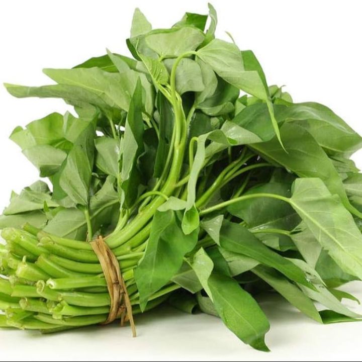 Hybrid Organic Kangkong Water Spinach Seeds (কলমী শাক বীজ) - 50 Pcs Seeds