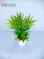 Artificial Rubber Cactus Plant In Small Plastic Tob 6 inc For Decoration. 