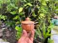 Round Shaped Wooden Sauce Box With Lid and Spoon /Wooden Sugar Bowl/Jar Salt Container. 