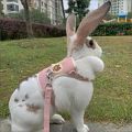 Newest Cute Rabbit Harness and Leash Set Bunny Pet Accessories Vest Harnesses Rabbit Leashes for Outdoor Walking Pets Supplies. 
