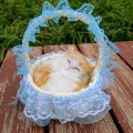 Miniatures Simulation Rabbits Toy Simulation Cat Ornament Figurines With Hanging Basket Simulation Cat Doll Fur Animal Lifelike Plush Sleeping Cats Birthday Gift. 