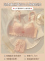 Khapsu Premium Quality Women's Lace pushup wired Bra Panty Set.